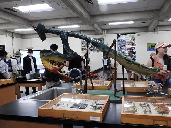 A huge sculpture of a praying mantis occupied part of 122 Briggs Hall. (Photo by Kathy Keatley Garvey)