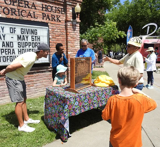 "Uncle Jer" (Jer Johnson, far right) of Uncle Jer's Traveling Bee Show, shows festival-goers his bee observation hive. (Photo by Kathy Keatley Garvey)