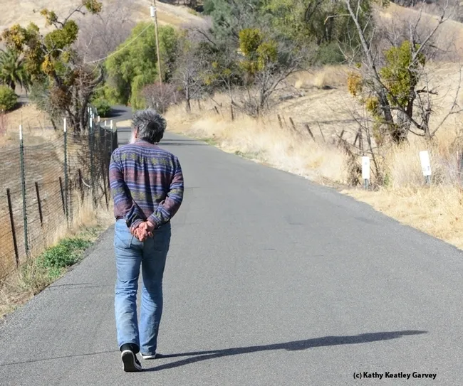 UC Davis distinguished professsor Art Shapiro monitoring his Gates Canyon, Vacaville site. He's been monitoring the butterfly populations of Central California for 50 years. (Photo by Kathy Keatley Garvey)