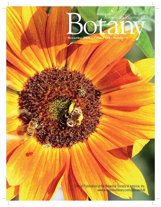 Research by co-authors Maureen Page and Charlie Casey Nicholson scored the cover story of the American Journal of Botany, November 2021 edition. (Photo by Kathy Keatley Garvey)