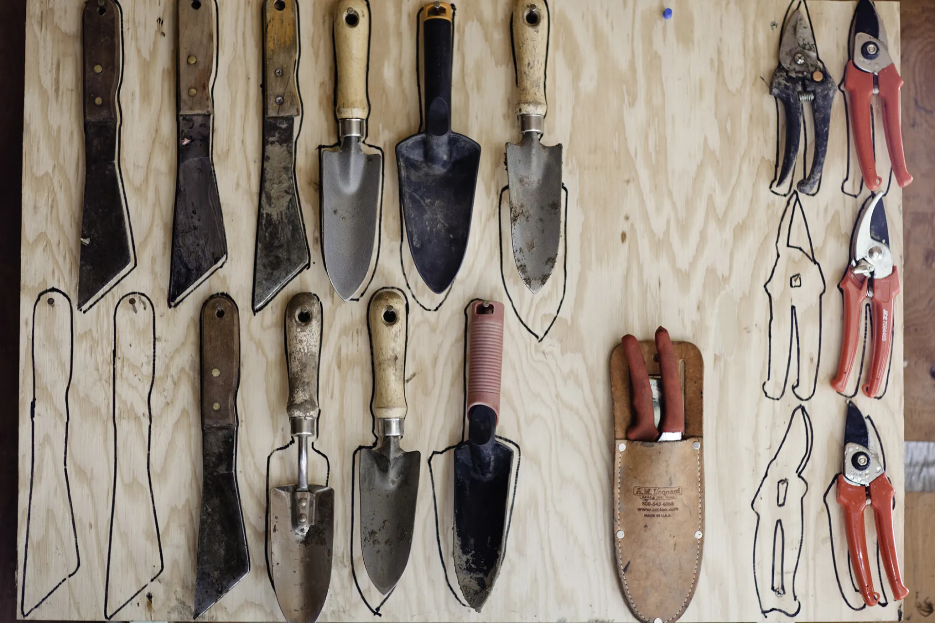 Garden tools outlined and hanging on a board.