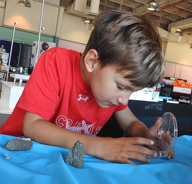 Brandon DeGroot,6, examines the bug he just collected outside McCormack Hall, Solano County Fairgrounds. (Photo by Kathy Keatley Garvey)