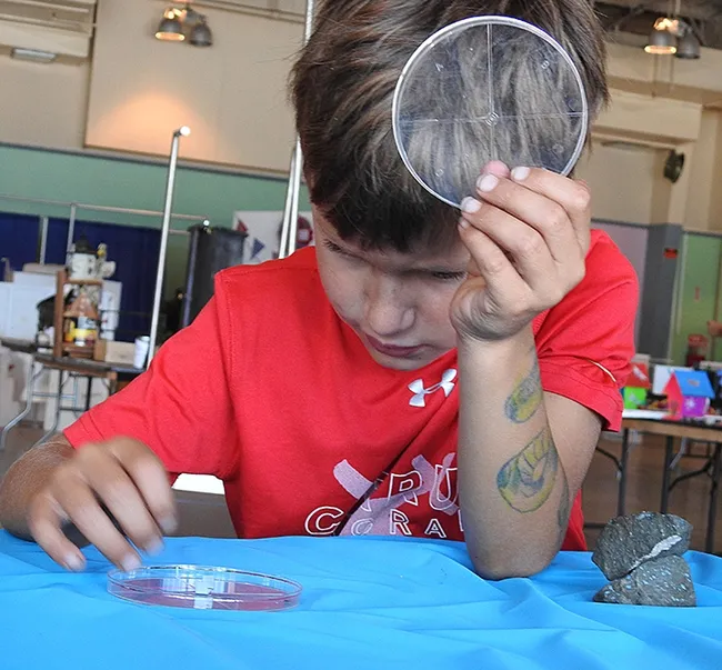 Brandon DeGroot monitors how a bug crawls. (Photo by Kathy Keatley Garvey)