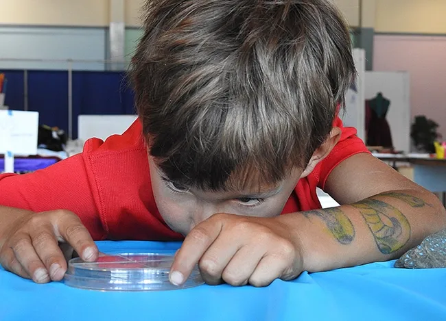 Brandon DeGroot gets a closer look at his bug. (Photo by Kathy Keatley Garvey)
