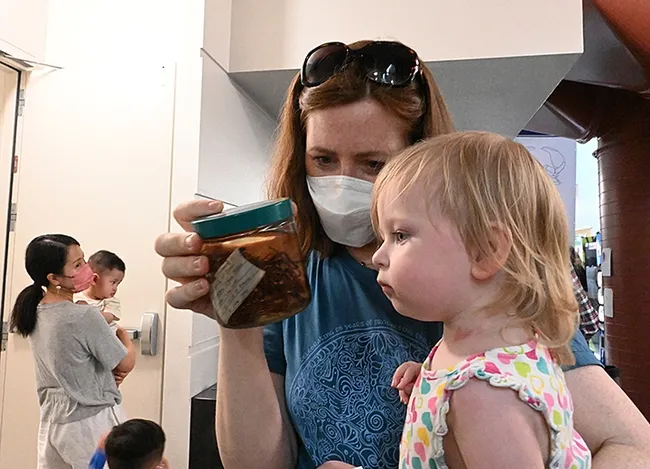 Eleanor Bielski, 21 months old, is awed by a jarred spider specimen held by her mother, Laura McKay. (Photo by Kathy Keatley Garvey)
