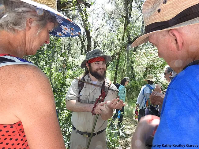 Bohart lab assistant Brennen Dyer with a California dogface butterfly. (Photo by Kathy Keatley Garvey)