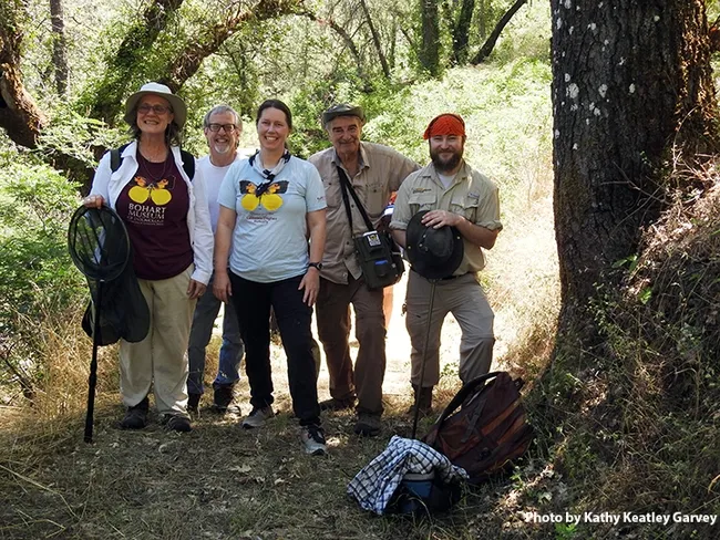 The Bohart crew on the Auburn field trip included (from left) Professor Fran Keller of Folsom Lake College, a Bohart scientist; senior museum scientist Steve Heydon; Tabatha Yang, education and outreach coordinator; Greg Kareofelas, Bohart associate and a PLT volunteer guide; and Bohart lab assistant Brennen Dyer. (Photo by Kathy Keatley Garvey)