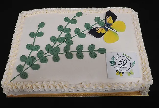 Guests enjoyed the specially made cakes featuring a male dogface butterfly (shown) and a female dogface butterfly. They were the work of Tiffany Warrick of CreaTions N' EvenTs, Sacramento. (Photo by Kathy Keatley Garvey)