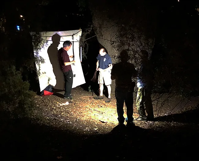 The Bohart Museum's blacklighting display is an opportunity for folks to learn about moths. (Photo by Kathy Keatley Garvey)
