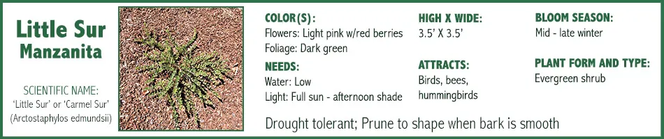 Click to learn more.