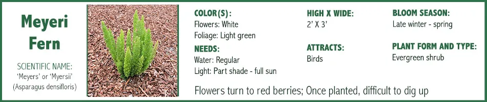 Click to learn more.