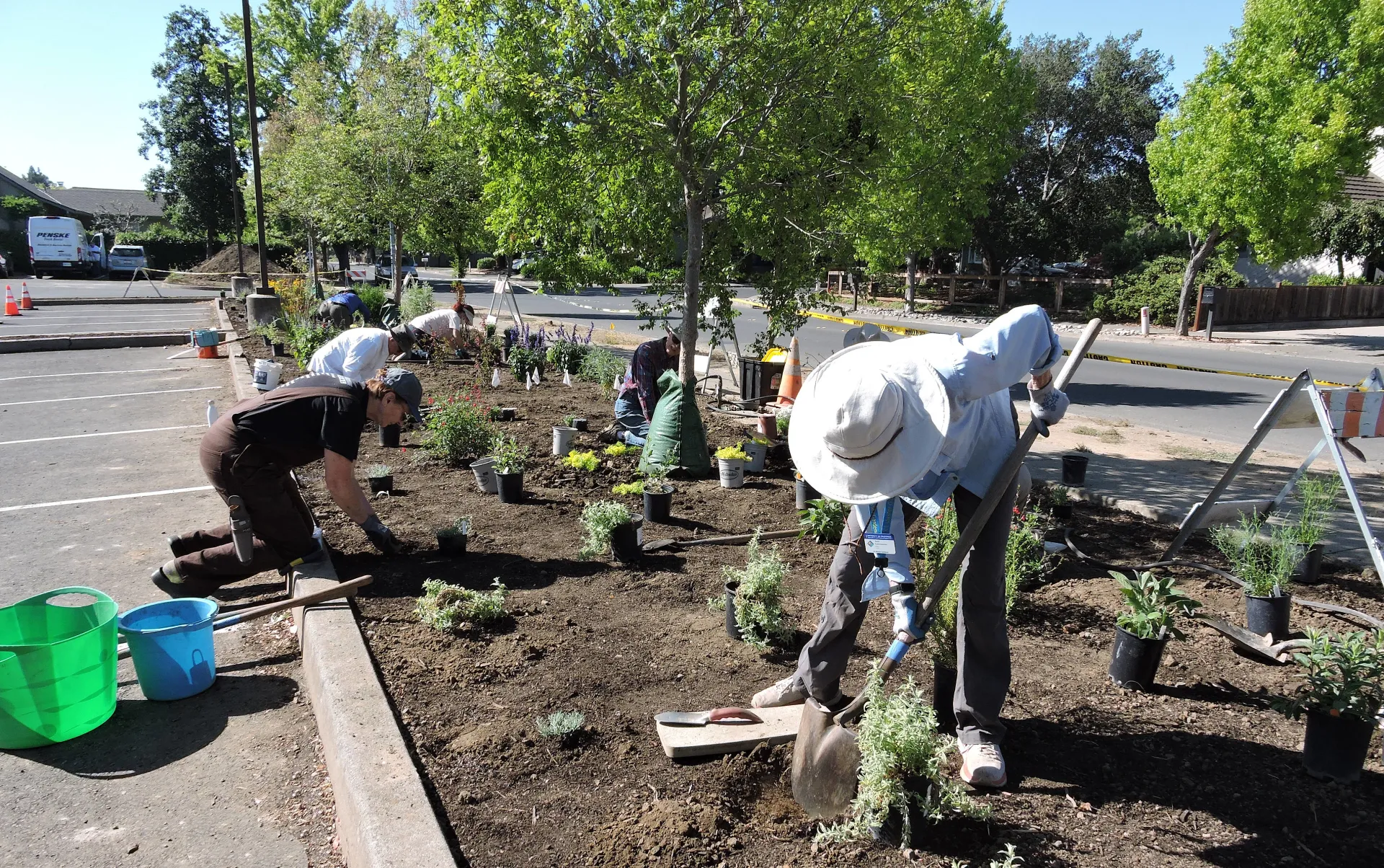 Planting the Native Garden, Summer 2022