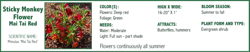 Sticky Monkey Mai Tai