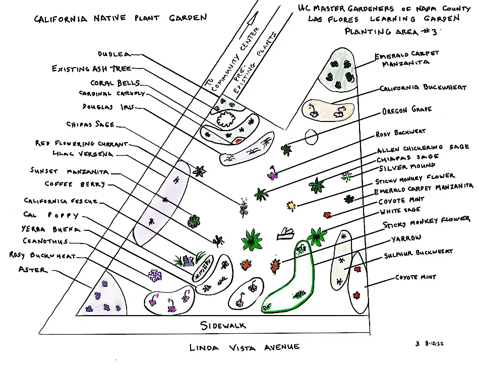California Native Plant Garden