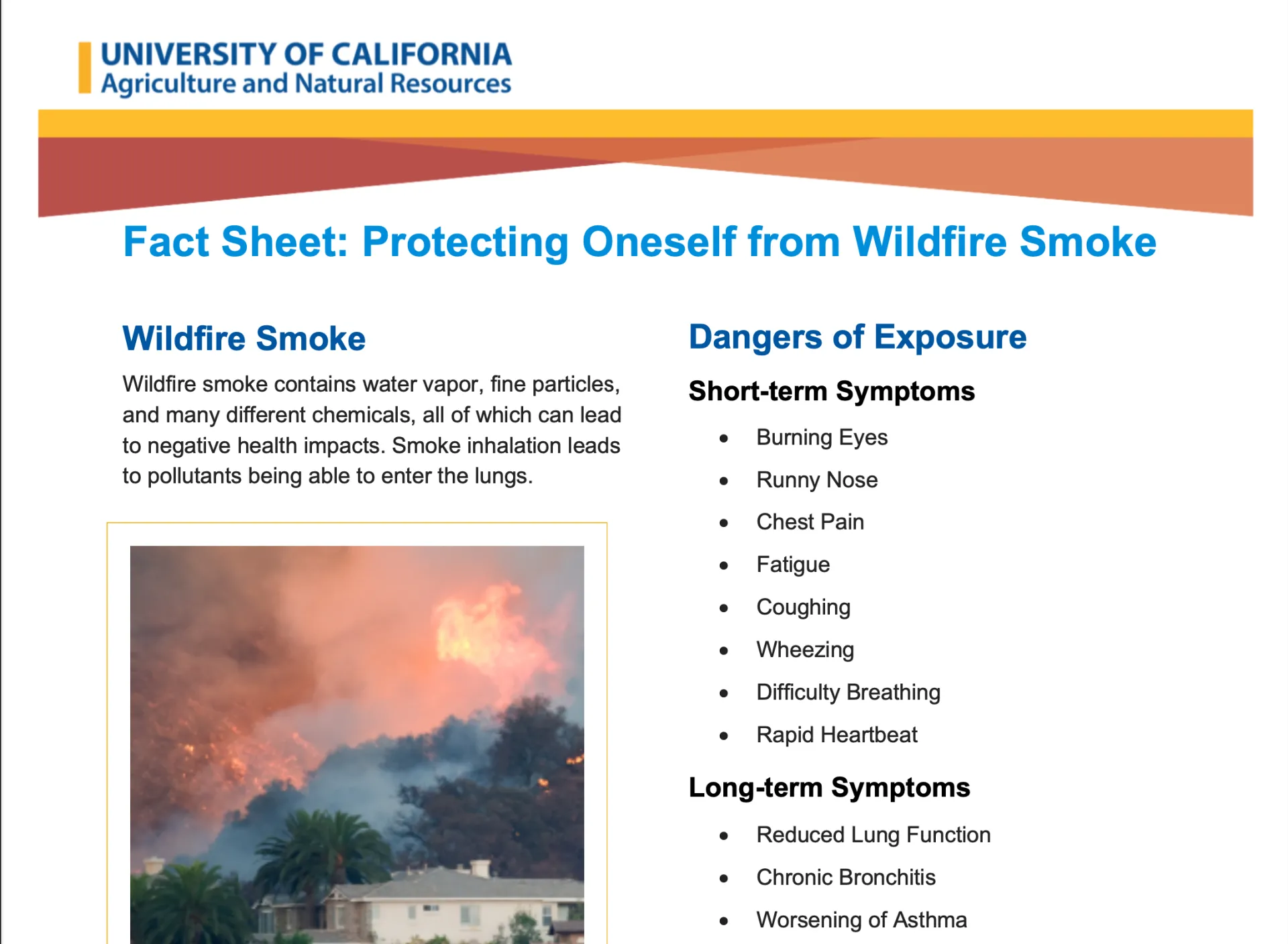 Wildfire Smoke
