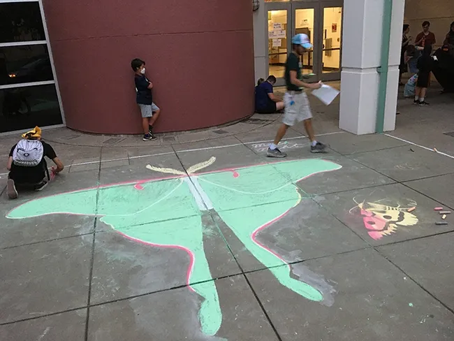 Chalk art of a Luna moth graced the entrance to the Bohart Museum of Entomology at UC Davis on Moth Night. (Photo by Tabatha Yang)