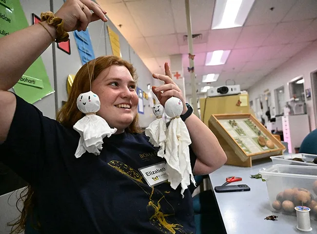 UC Davis student and Bohart volunteer Elizabeth Gromfin, who staffed the gall ghost table, holds a few of the ghosts she made. (Photo by Kathy Keatley Garvey)