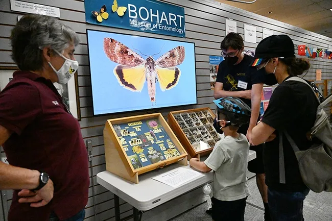 An image of a underwing moth flashes on the screen as postdoctoral researcher Severyn Korneyev talks to visitors at the Bohart Museum open house. In the foreground is Lynn Kimsey, director of the Bohart Museum. (Photo by Kathy Keatley Garvey)
