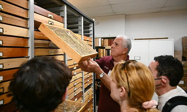 Entomologist Jeff Smith, curator of the lepidoptera collection at the Bohart Museum of Entomology, lifts a drawer of specimens for visitors to see. (Photo by Kathy Keatley Garvey)