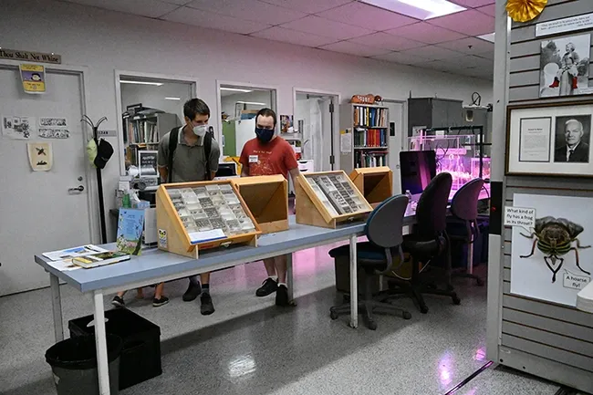 Entomologist Brennen Dyer, a UC Davis alumnus and a Bohart Museum laboratory assistant, shows a visitor some of the displays at the open house. (Photo by Kathy Keatley Garvey)