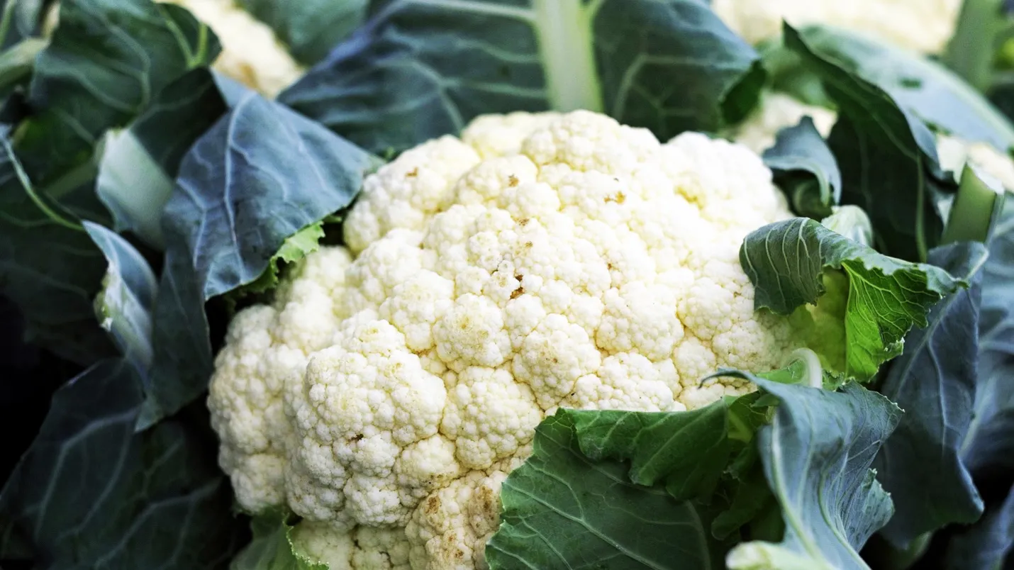 22.11 Cauliflower