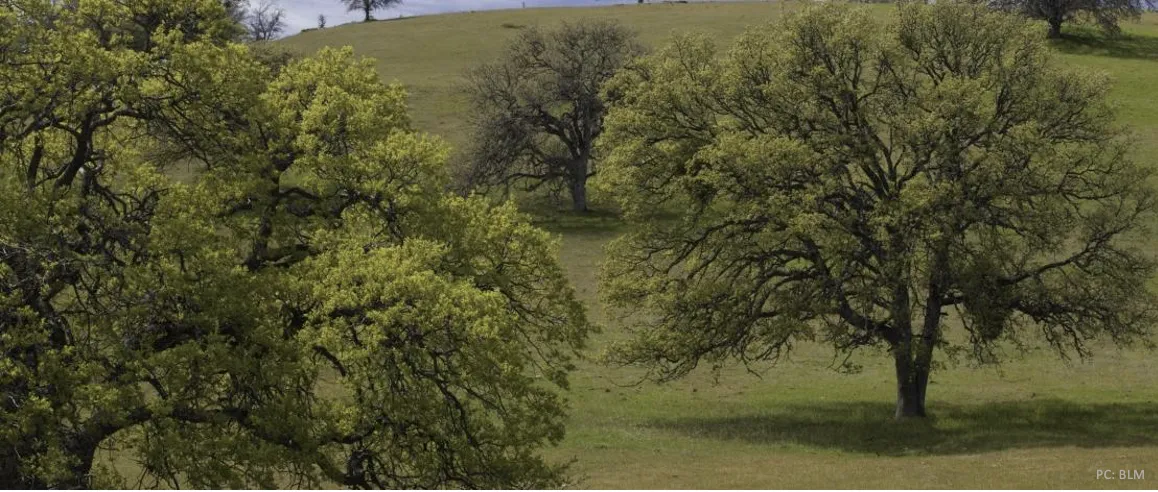 Screen Shot 2022-11-04 at 5.06.40 PM