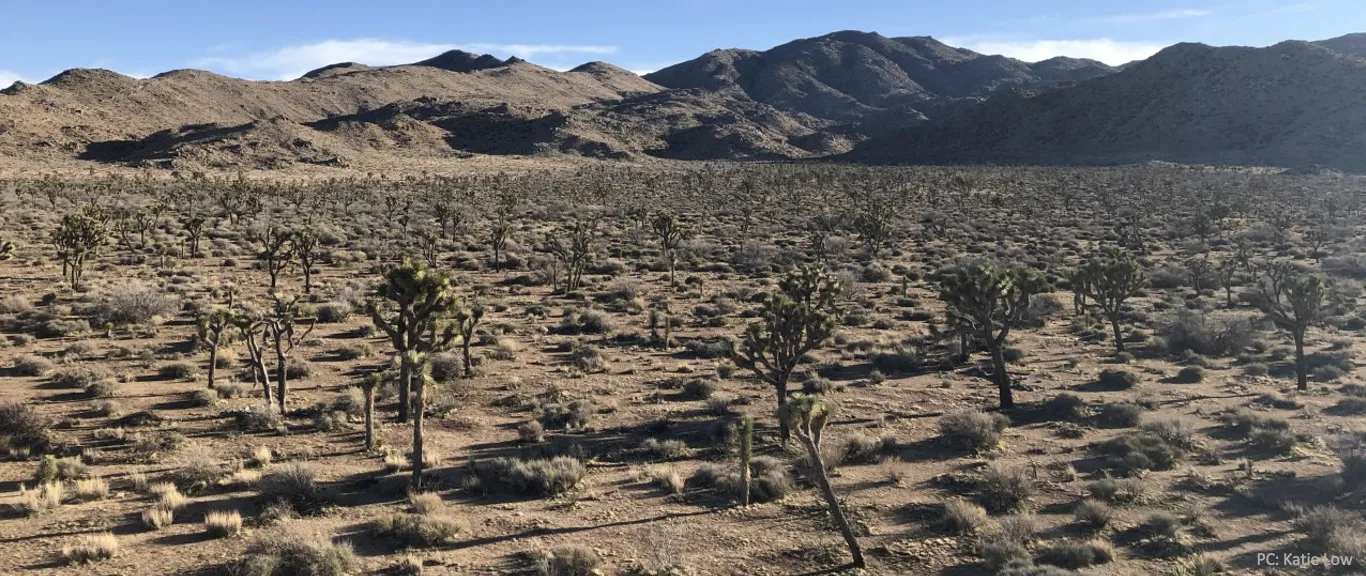 Screen Shot 2022-11-08 at 4.04.03 PM