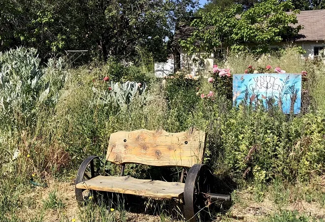 Petaluma Bounty Farm Unity Garden before the cleanup started. Photo by Sue Lovelace