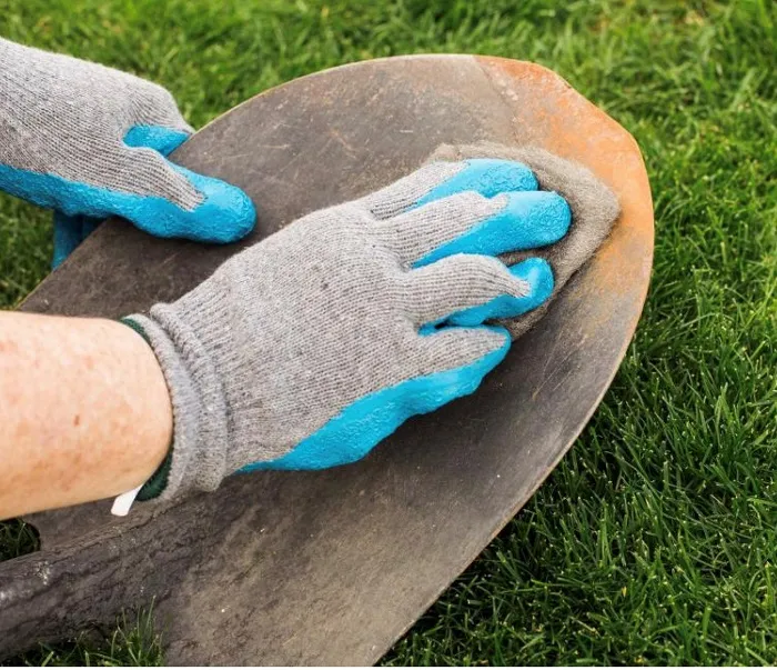 Using a pushing motion, use a wire brush, sandpaper and steel wool in that sequence to remove rust. UC Regents