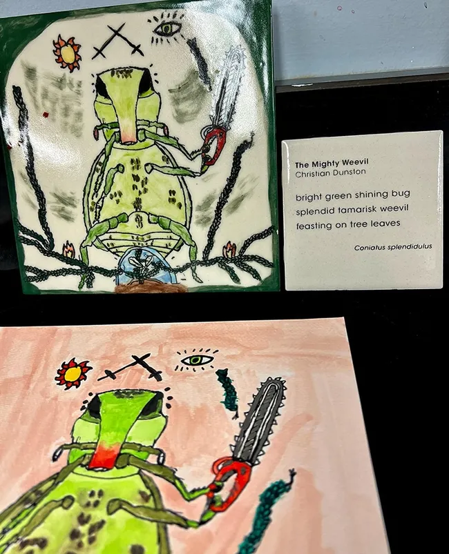 UC Davis student Christian Dunston titled his work, "The Mighty Weevil." (Photo by Jenella Loye)