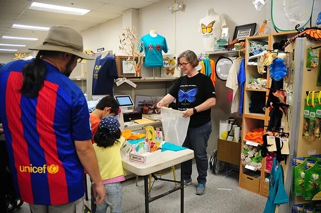 Fran Keller, professor at Folsom Lake College and a Bohart Museum scientist, often staffs the Bohart gift shop. She received her doctorate in entomology from UC Davis, studying with Bohart director Lynn Kimsey. (Photo by Kathy Keatley Garvey)