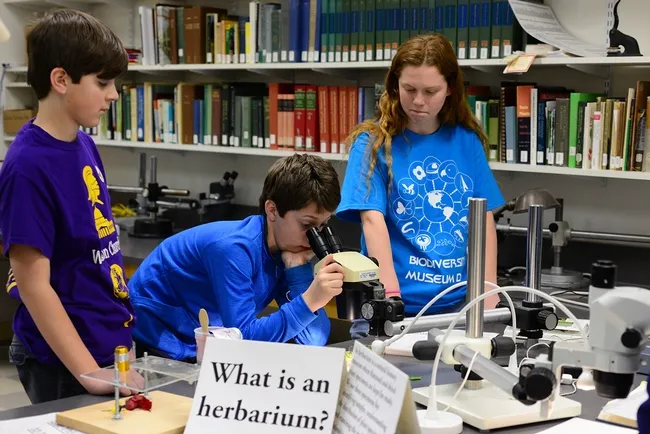 Visitors learn "What is an herbarium?" at the Center for Plant Diversity. (Photo by Kathy Keatley Garvey)