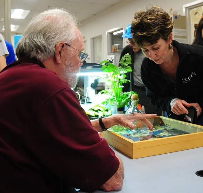 Pollinator enthusiast Ria de Grassi of Davis confers with UC Davis distinguished emeritus professor Robbin Thorp (1933-2019) at a Bohart Museum of Entomology open house in 2017. (Photo by Kathy Keatley Garvey)