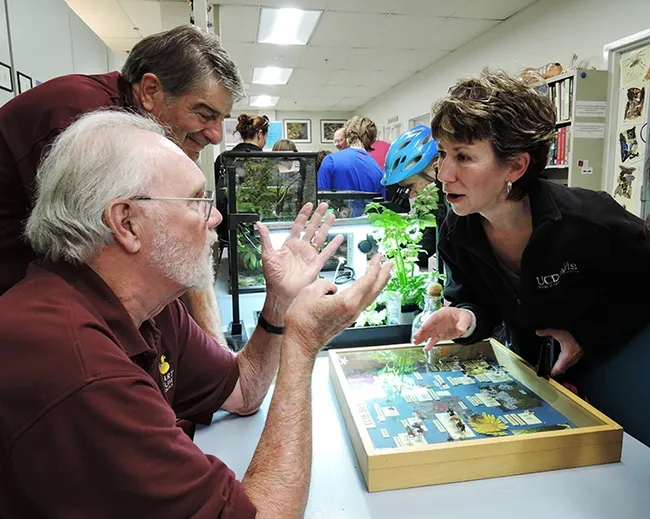 UC Davis distinguished emeritus professor Robbin Thorp (1933-2019) discusses with Ria de Grassi the unusual carpenter bee she found. (Photo by Kathy Keatley Garvey)