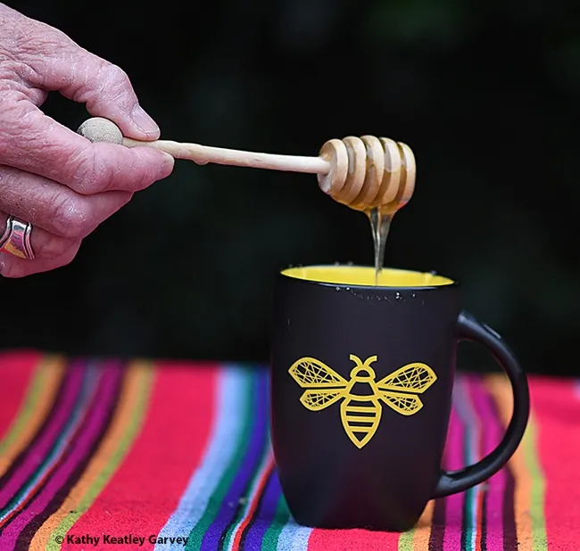 A dipper of honey for your tea? Sweet! (Photo by Kathy Keatley Garvey)