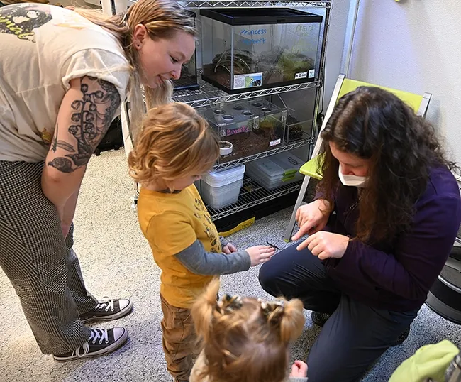 Tabatha Yang, the Bohart Museum's education and outreach coordinator, introduces a stick insect, aka walking stick, to Teddy Marlatte, 4, and his mother, Maddy Marlatte of Auburn. In the foreground is Teddy's sister Reagan. (Photo by Kathy Keatley Garvey)