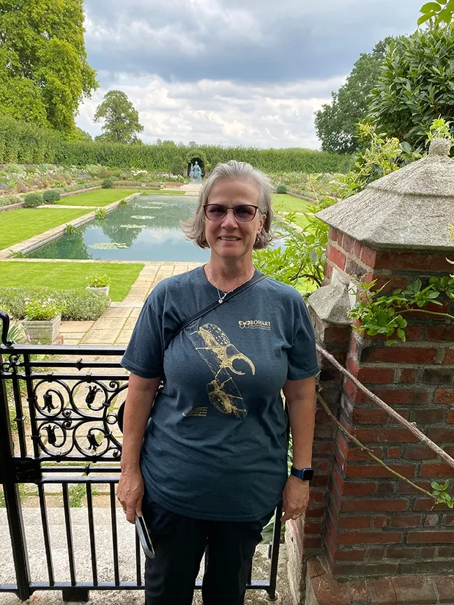 Professor Fran Keller of Folsom Lake College and a Bohart Museum of Entomology scientist, is shown here wearing her Bohart Museum rhinoceros beetle shirt at Kensington Palace. Keller taught science to community college students in London during the fall semester. She designed this beetle, which is available in the Bohart Museum gift shop.