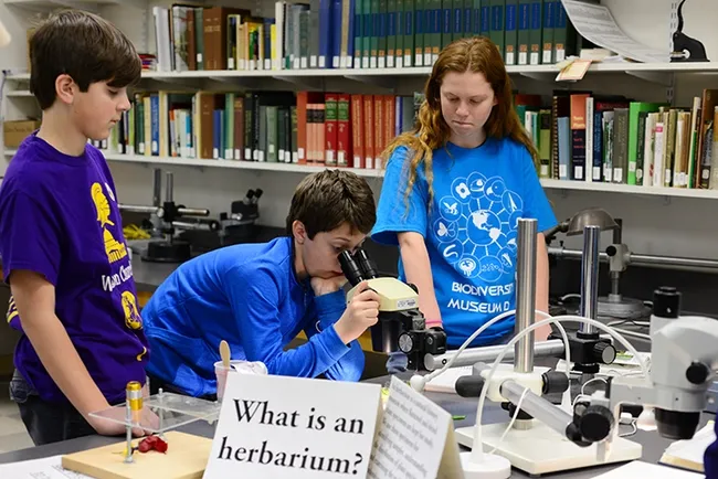 Those attending the Herbarium exhibit are invited to look through the microscopes. (Photo by Kathy Keatley Garvey)