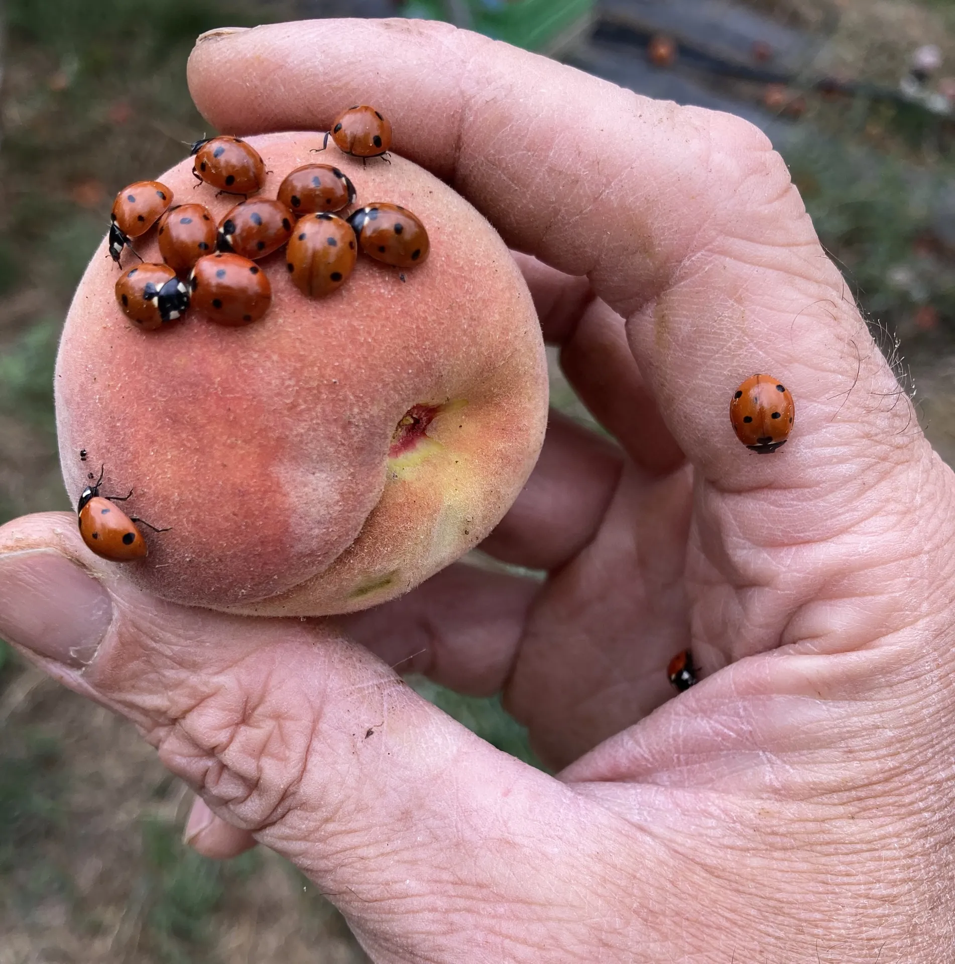 7C2DA97B-4B84-4265-B026-07CADF60E70D