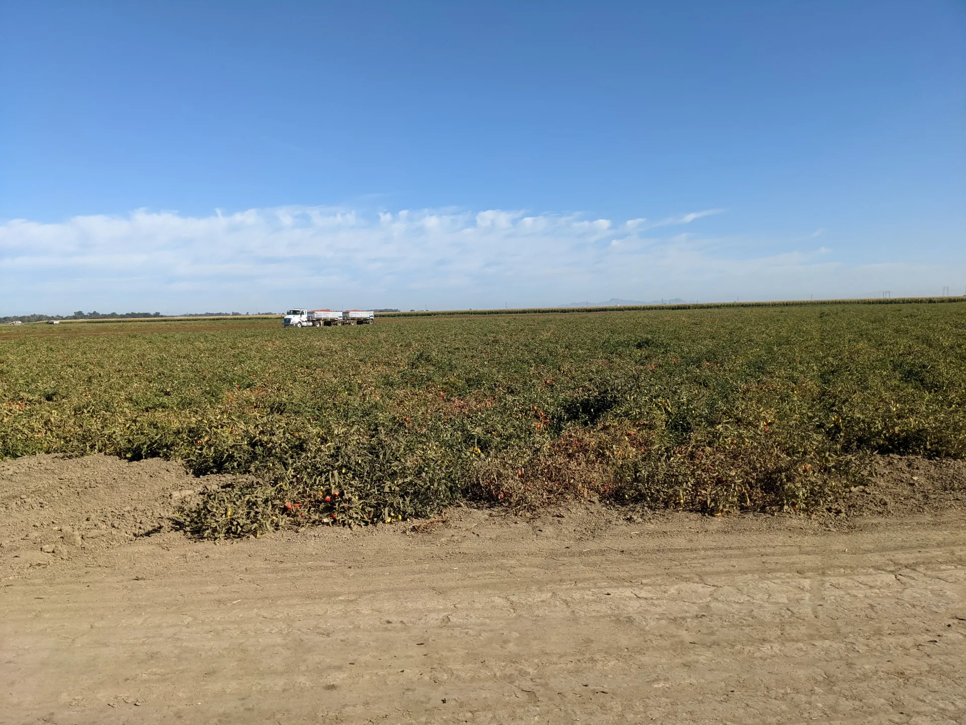 PXL_20210803_160849513