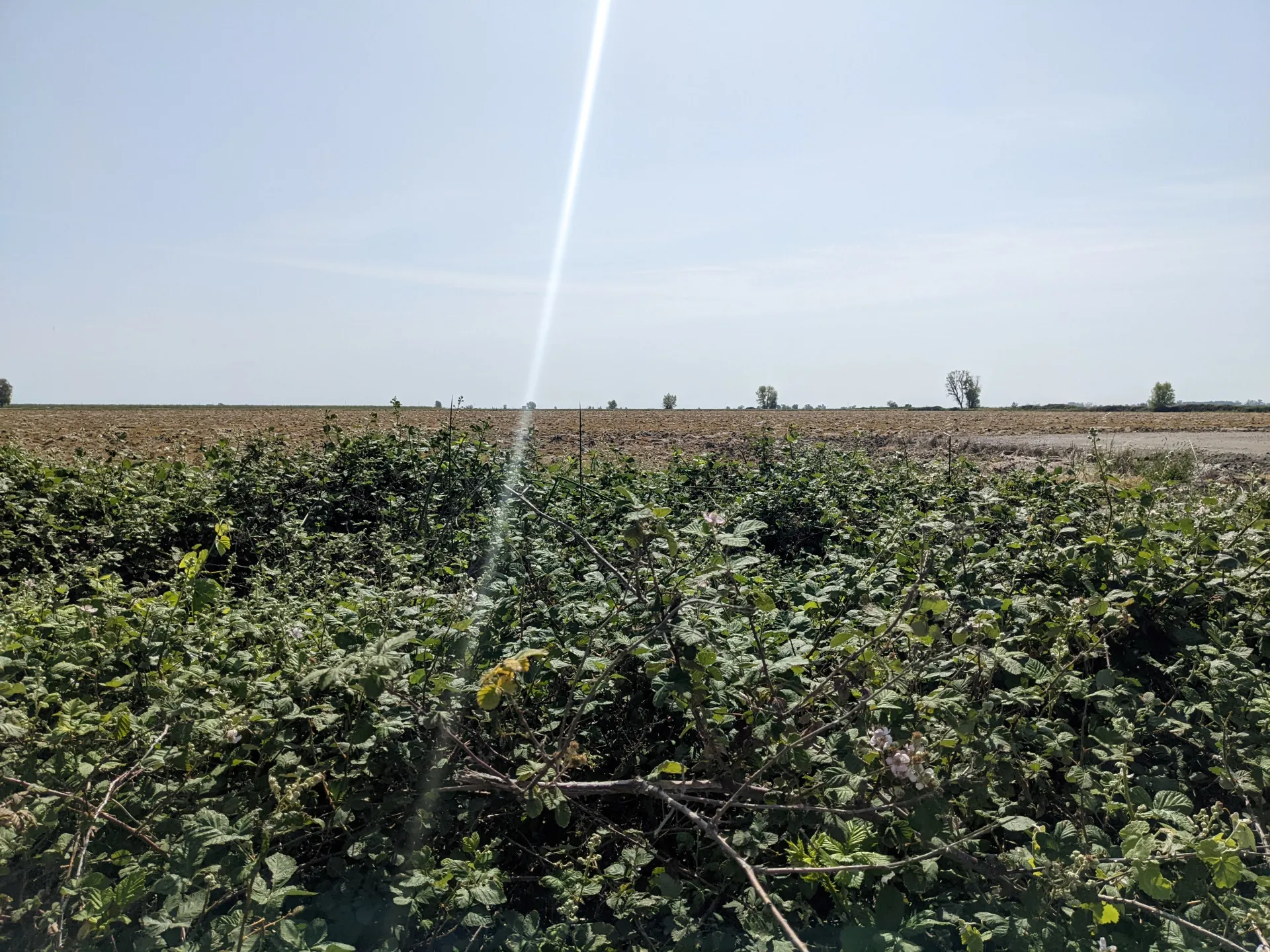 PXL_20220427_174644843