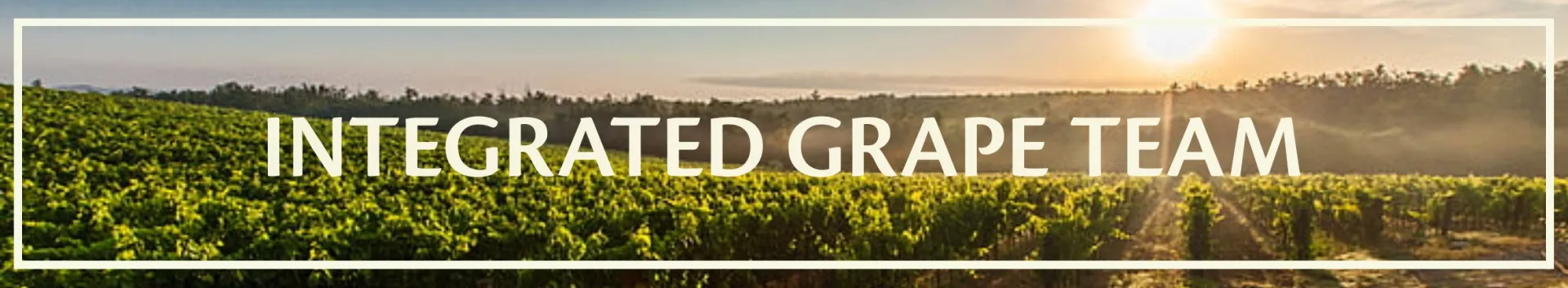 Integrated Grape Team