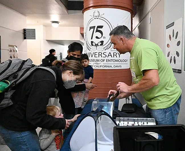 Martin Hauser, senior insect biosystematist in the Plant Pest Diagnostics Branch, California Department of Food and Agriculture, fluoresces an Asian forest scorption. (Photo by Kathy Keatley Garvey)