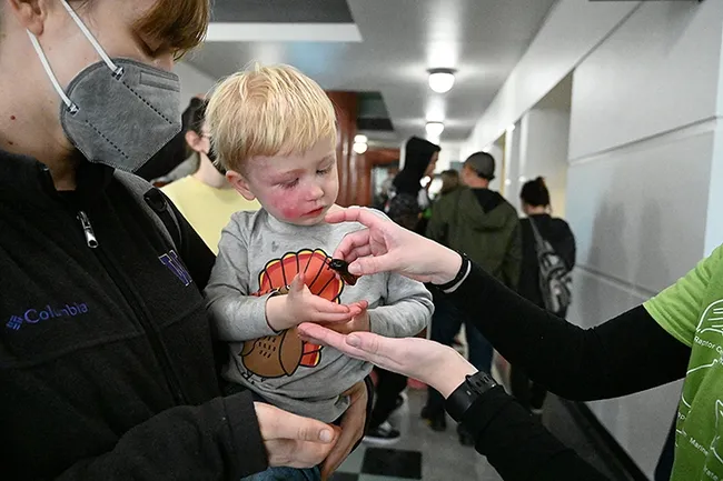 Finn Jensen, 2 1/2, awaits the placement of a Madagascar hissing cockroach in his hand. (Photo by Kathy Keatley Garvey)