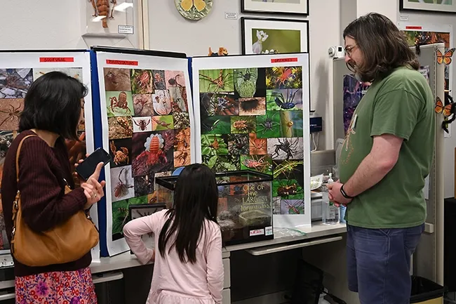 Researcher James Starrett, a project scientist in the Jason Bond lab who holds a doctorate in genetics, genomics and bioinformatics from UC Riverside, fields questions about Princess Herbert, a 20-year-old tarantula that's a tenant in the Bohart Museum live petting zoo. (Photo by Kathy Keatley Garvey)
