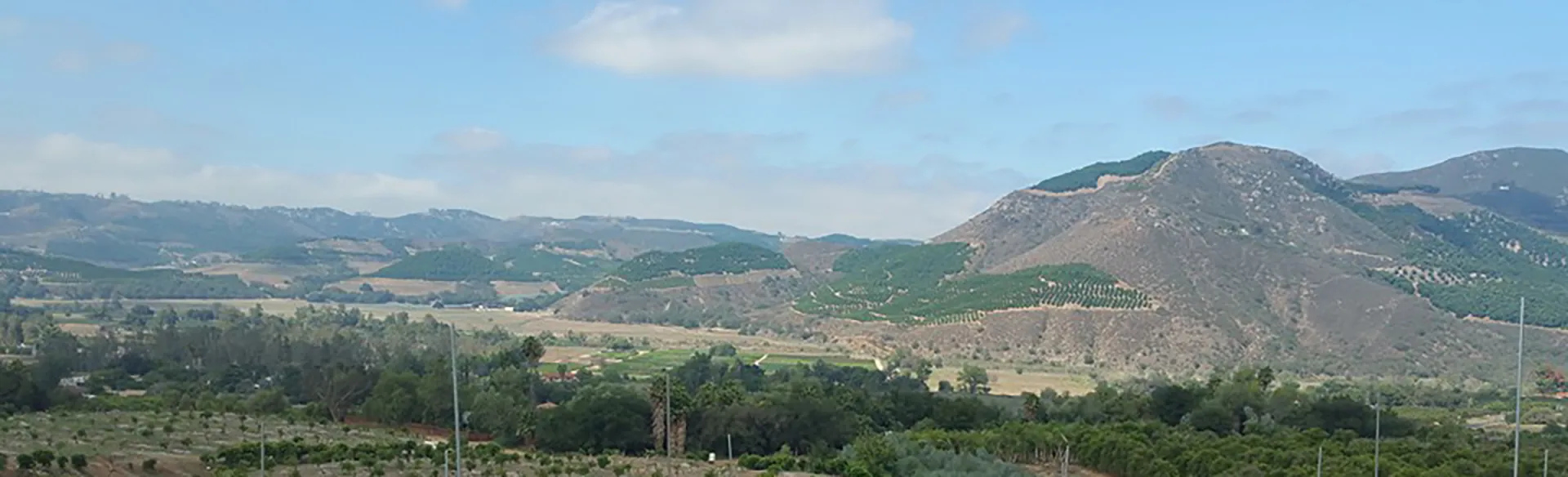 Avocado Grove in SD (crpd-wide)