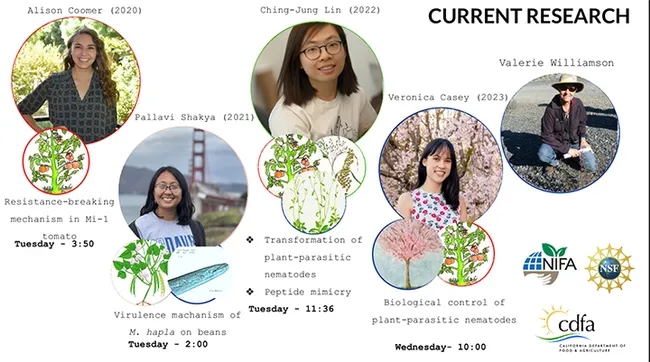 Nematologist Shahid Siddique discussed the research underway in his lab at the Society of Nematologists' meeting in Columbus, Ohio.