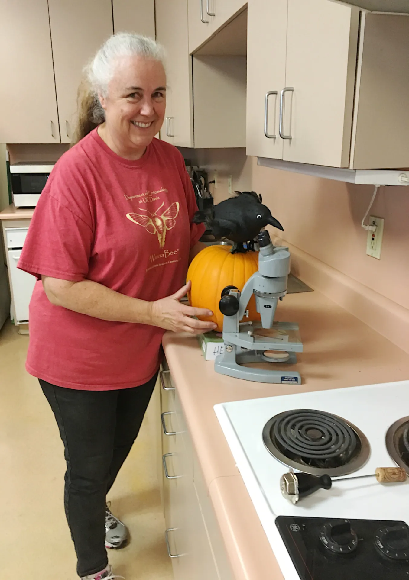 Fall Faire logo come to life