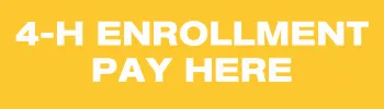 Yellow rectangle that reads 4-H Enrollment Pay Here in Green Font