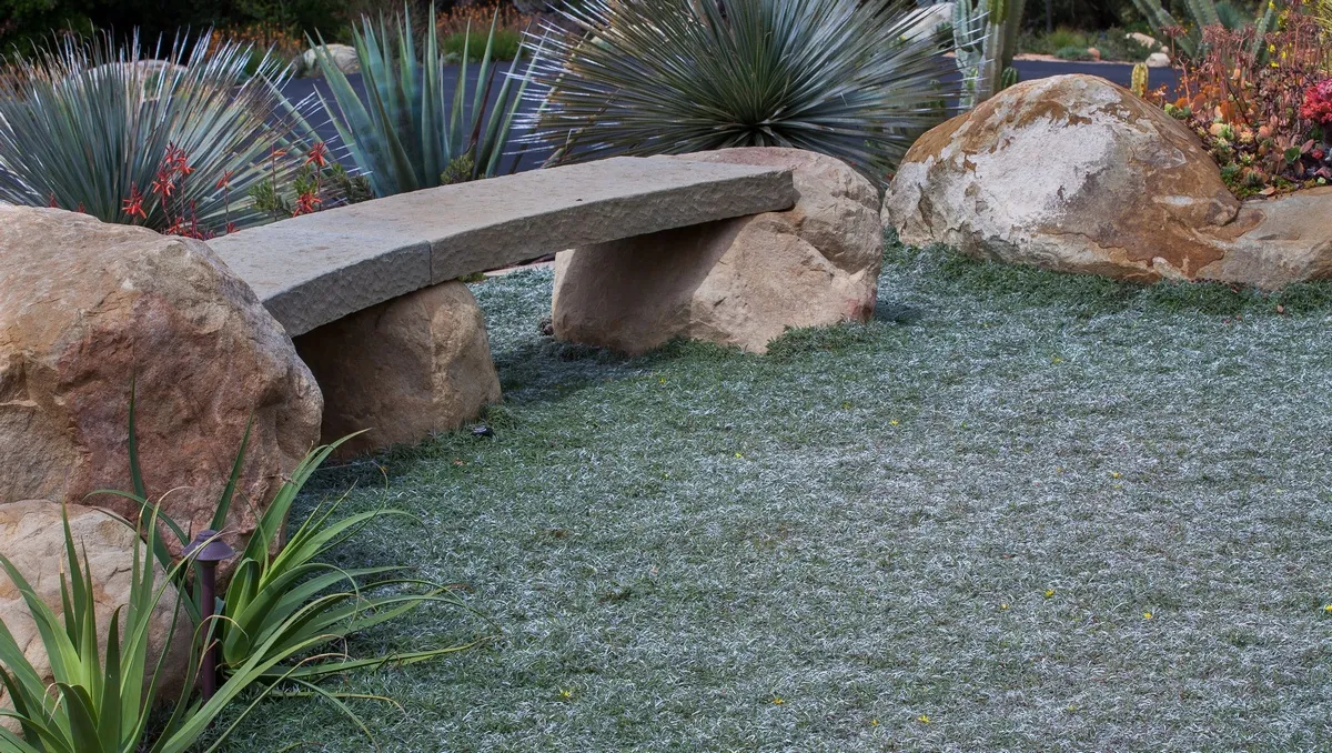 dymondia1200for website